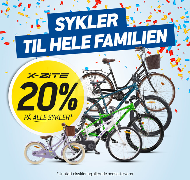 &Aring;pningsfest i Lillehammer