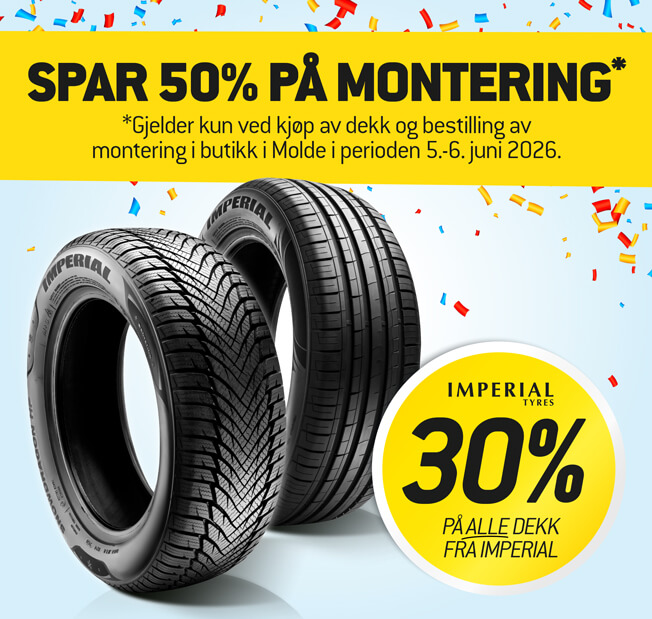 Molde &aring;pningsfest