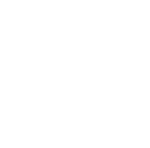 Sådan bestilled fyrværkeri